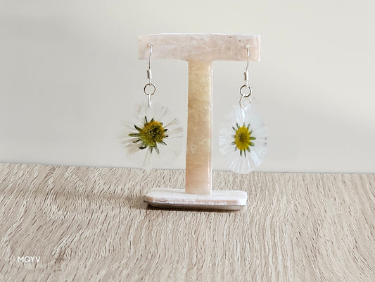 Grass Daisys earrings
